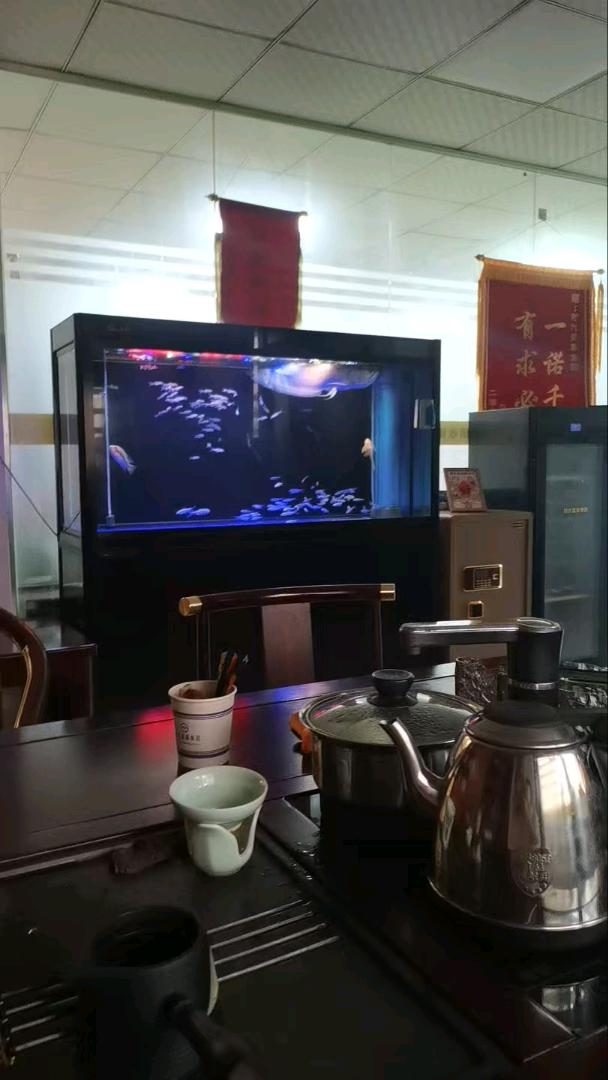 陈权坤找合伙人美团商家合作项目，找风险投资者