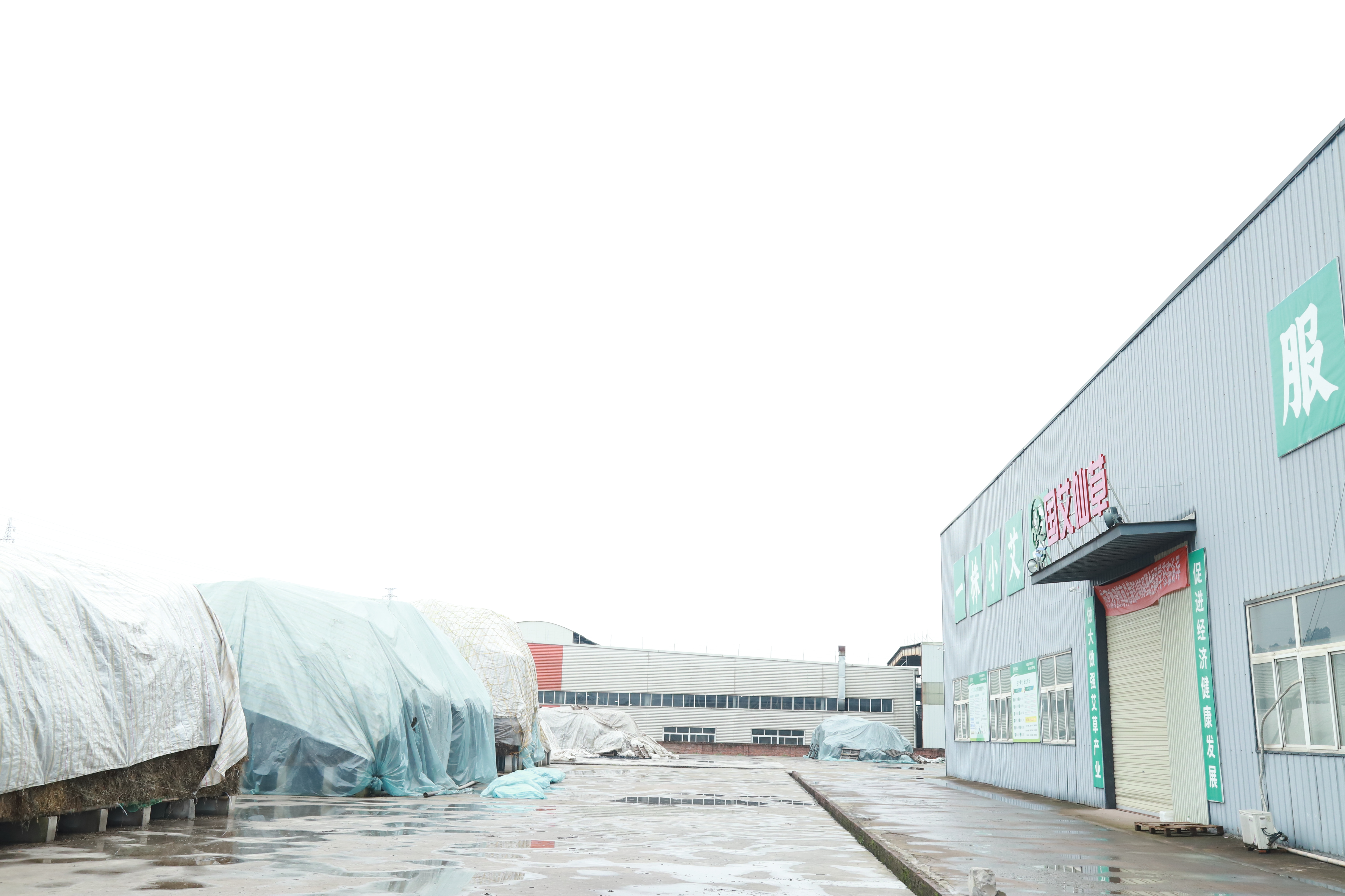 宋建品牌货源艾草制品，源头工厂支持一件代发加工贴牌，主要产品艾条艾柱足浴包艾草枕