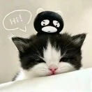 张敬涵
