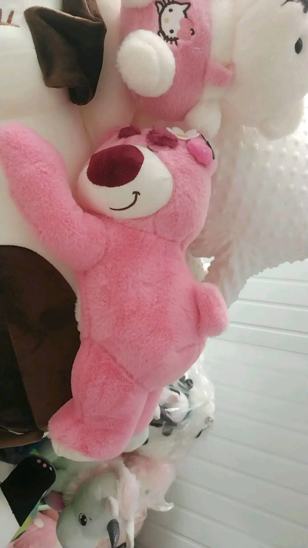 魏先生品牌货源