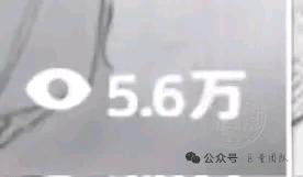 梁先生找合伙人小说项目，一部手机就可以做，简单操作，独立后台，时间自由，