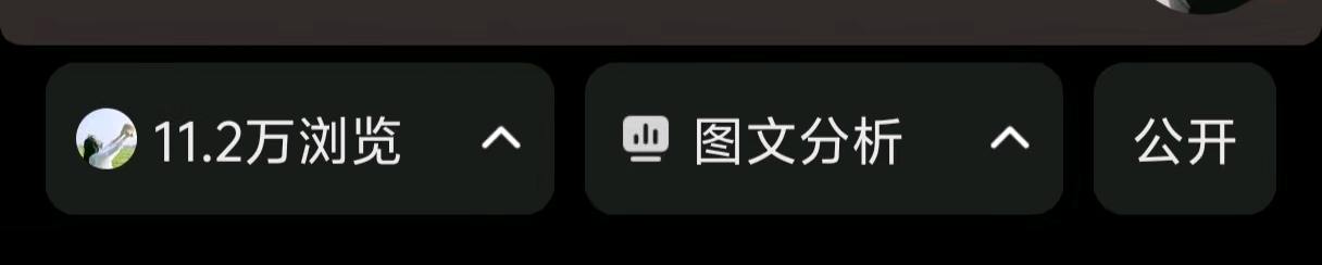 汪女士小说推文、短剧推广项目，正规授权长期稳定，变现快多劳多得，一部手机即可