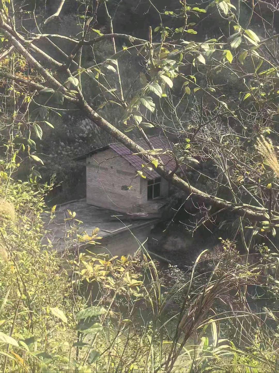 廖梅芳场地活动五亩地的鱼塘出租