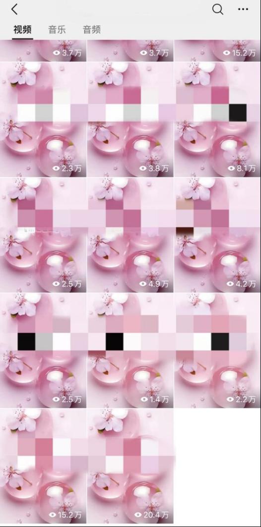 黄海丽找合伙人小说推文,绿色稳定,独立后台,日结,时间自由,操作简单,