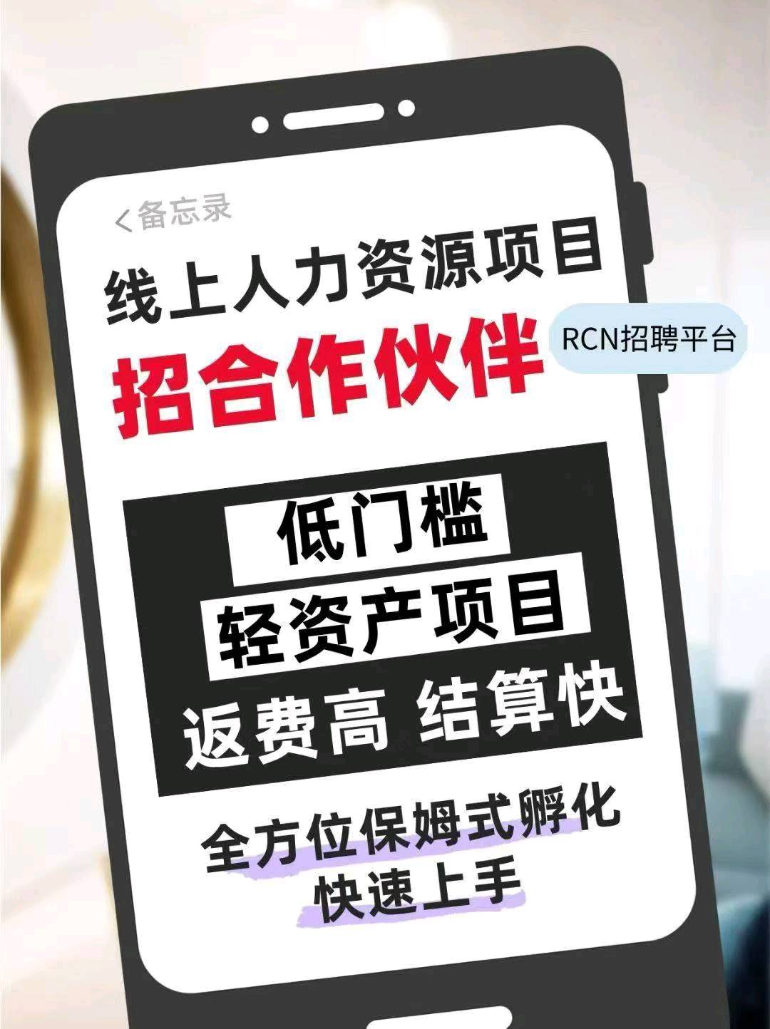 刘涛找合伙人线上人力资源劳务代招,手机操作,日结。