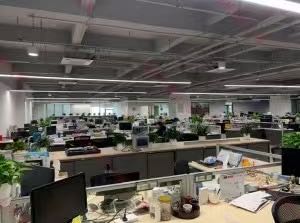 高佩洋找合伙人跨境电商海外抖音带货