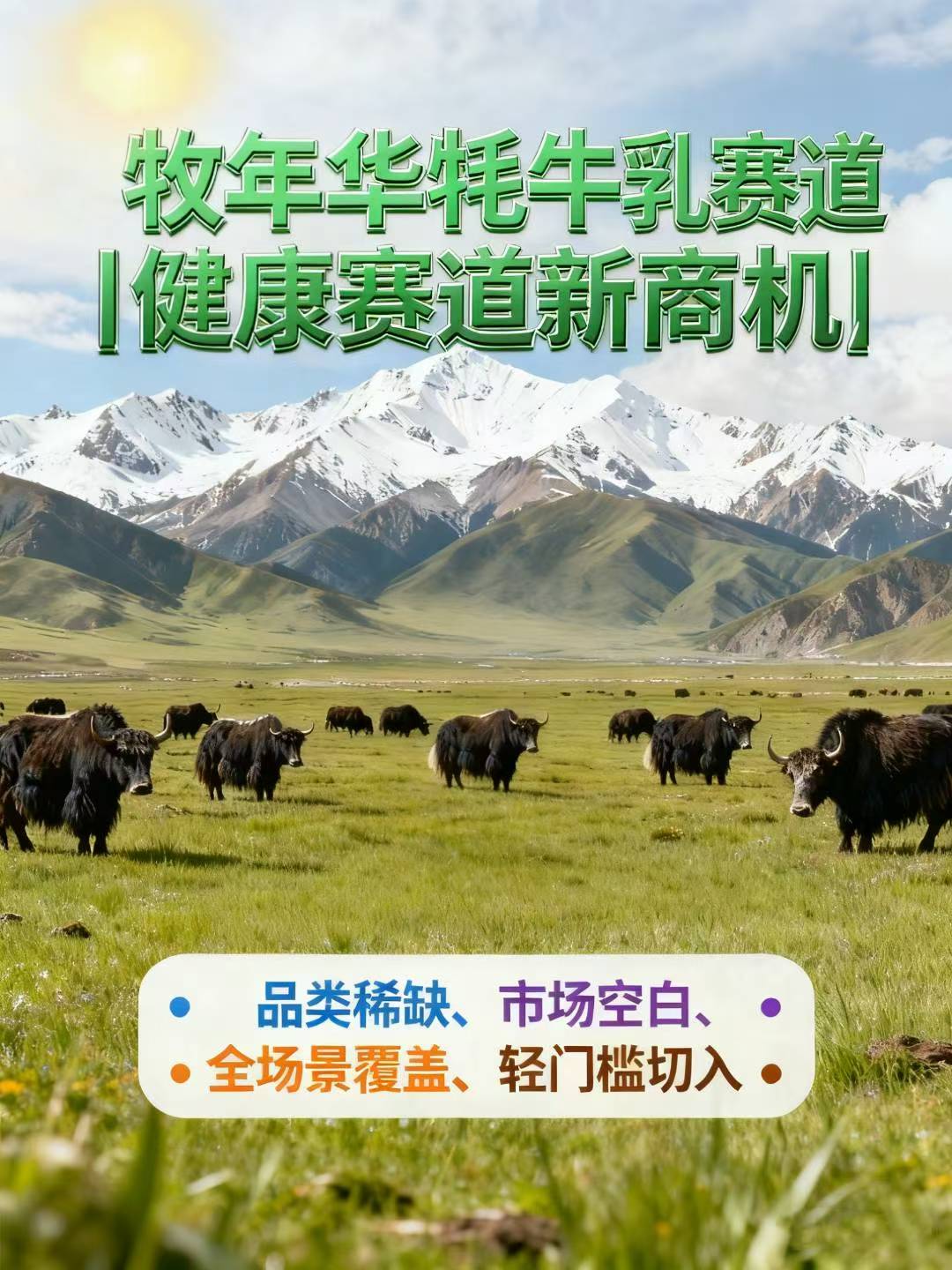 唐波找合伙人抢占千亿市场，共享牦牛奶红利