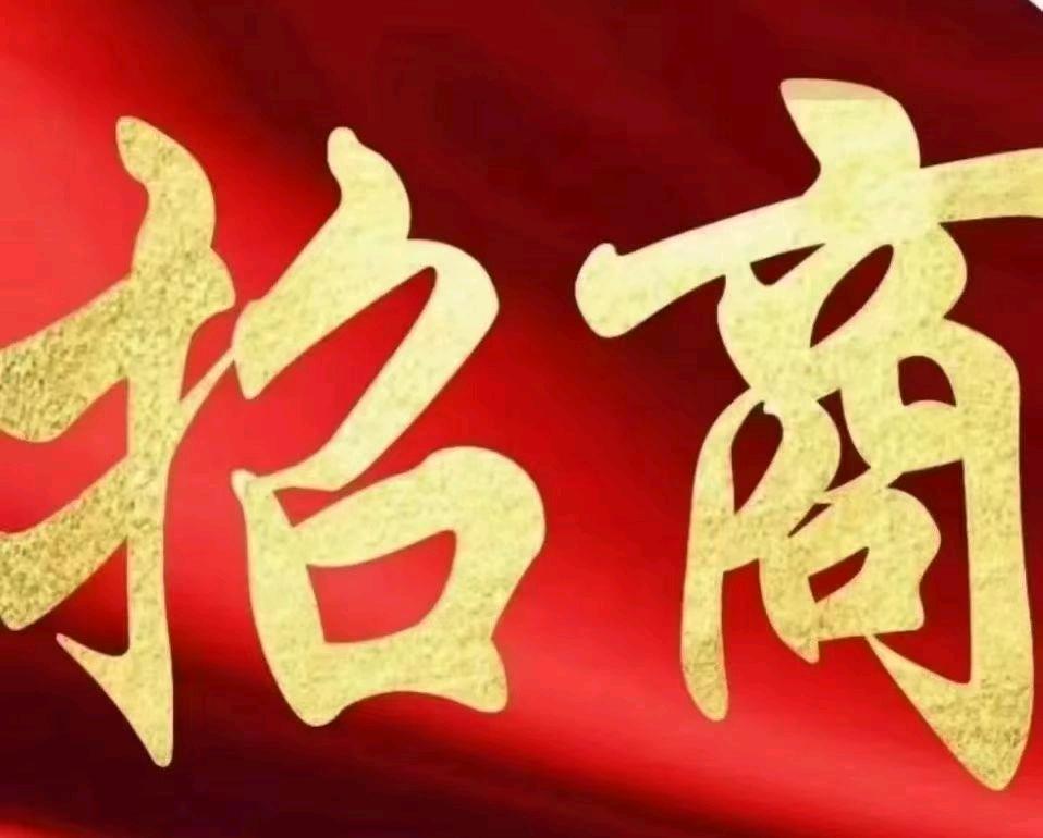 李先生地推项目湖南省电信业务线上，酬金100+