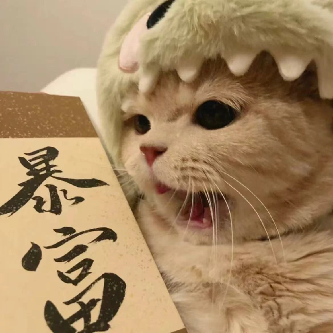 何希军
