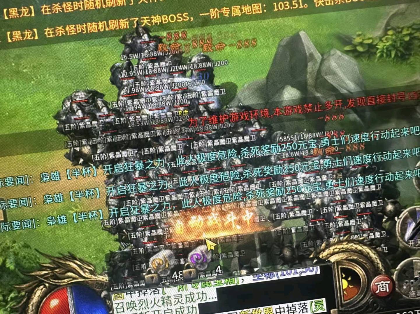 孙女士找合伙人