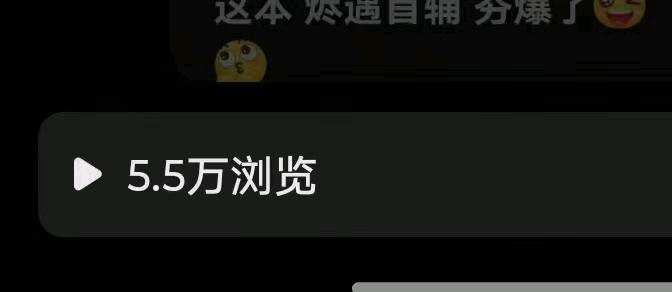 苏女士推小说,一部手机就能做,自带独立后台,小白当天就能上手