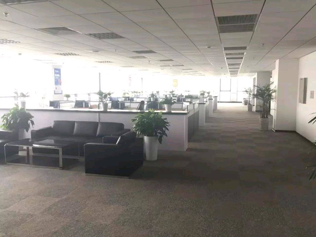 陈栋找合伙人别天天找项目了，和我干抖音直播不出镜对着稿子播，一单1500