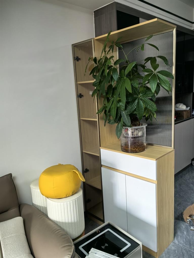 刘鑫品牌货源玄关柜，隔断柜，屏风，鞋柜
