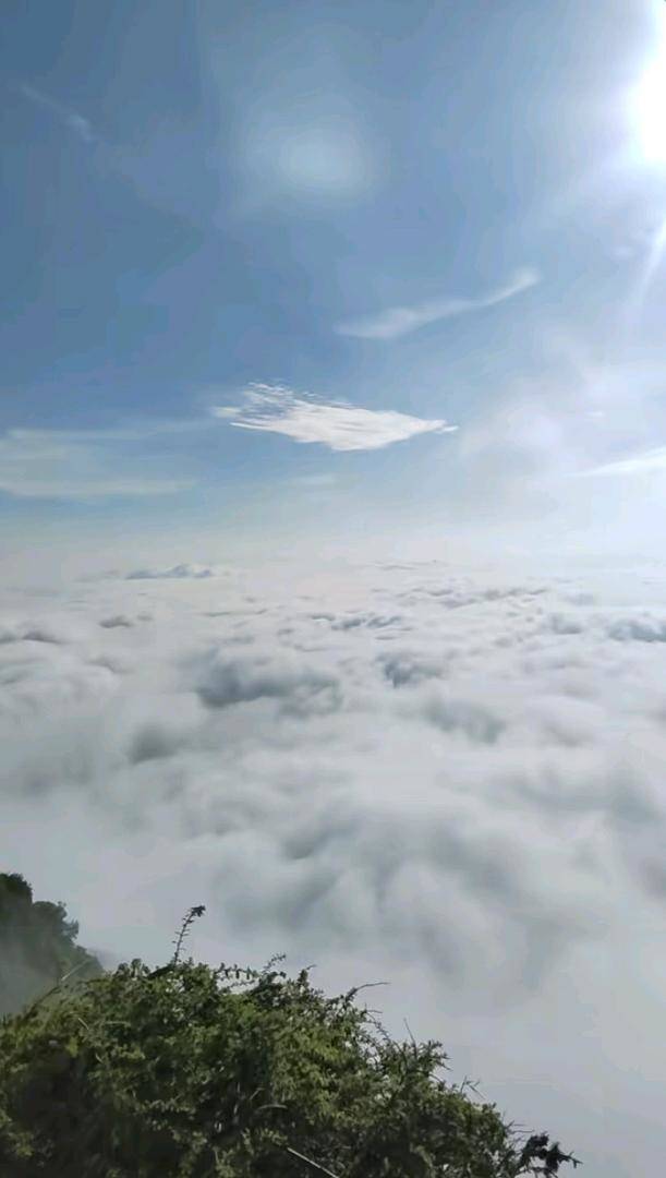 陈华能其他供需今日头条写作赚钱