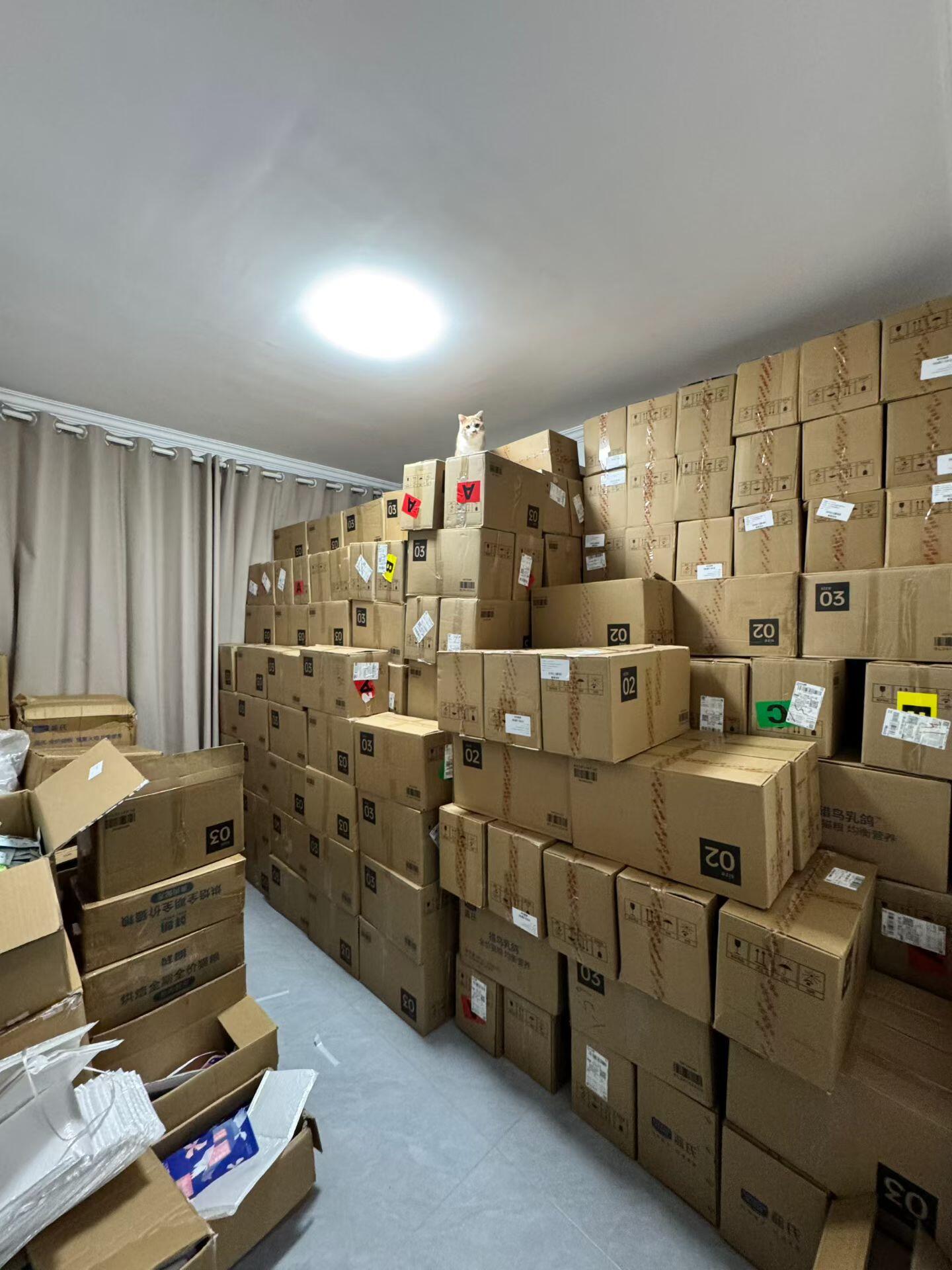 涂先生其他供需得物搬砖团队扩招!有赚钱欲就来,全程一对一陪跑