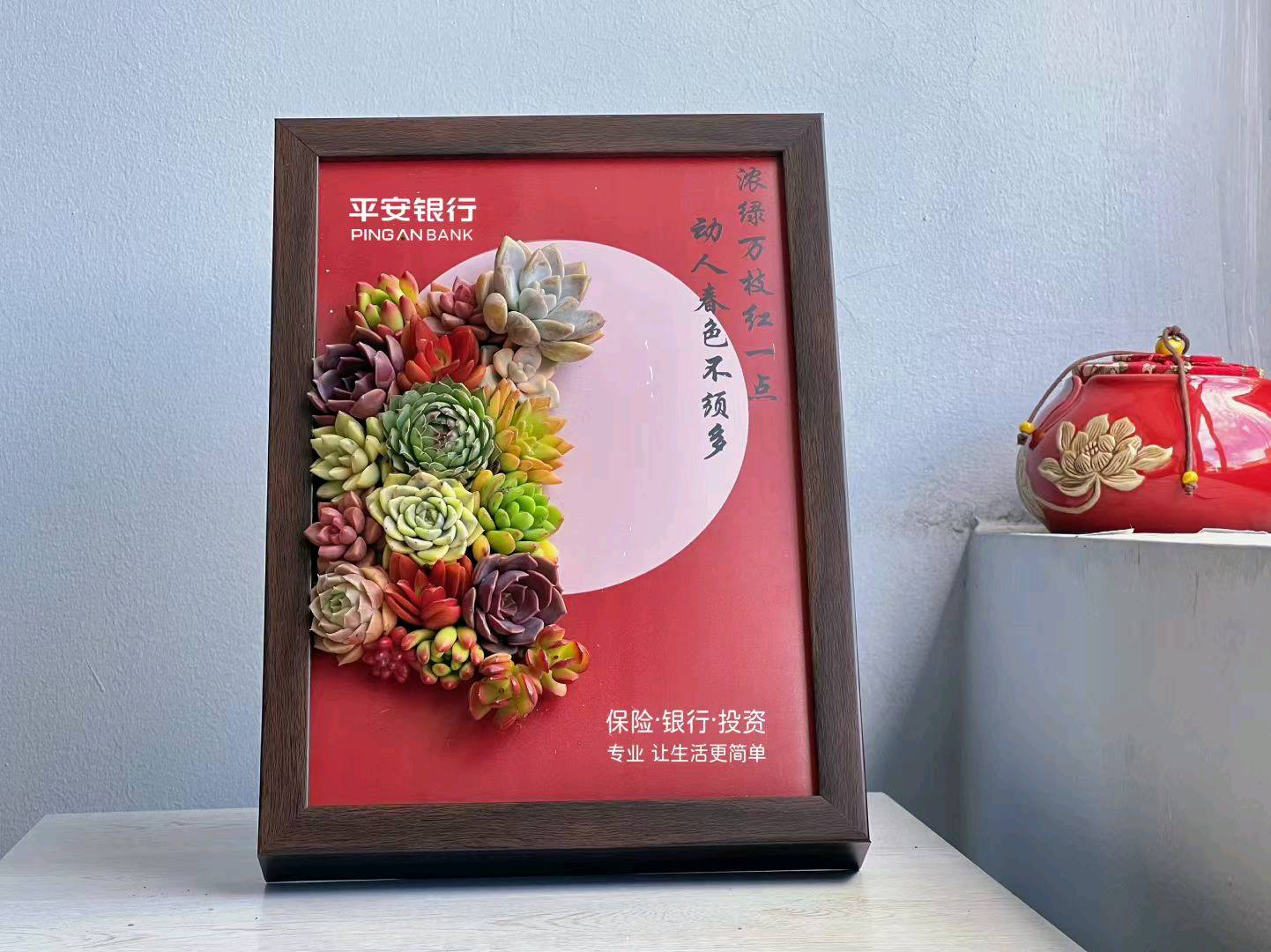 靳文超创意多肉画框  全国招募令