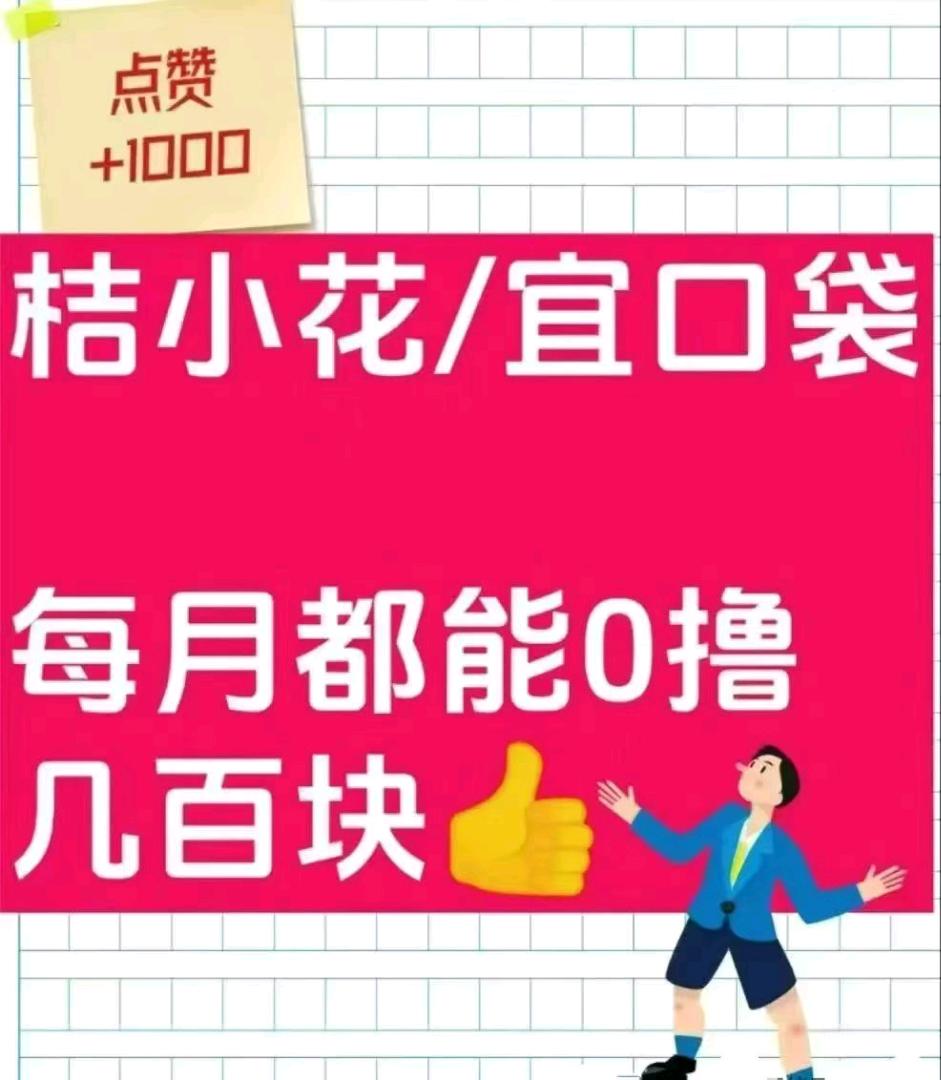 刘女士地推项目小花 口袋 拉新 官方价格置顶