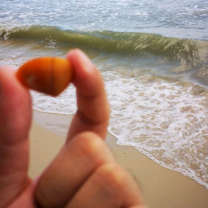 u客直谈实名认证朱元博