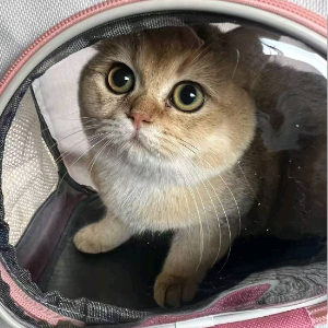 u客直谈实名认证周世杰