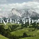 张先生