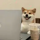 孙帅臣