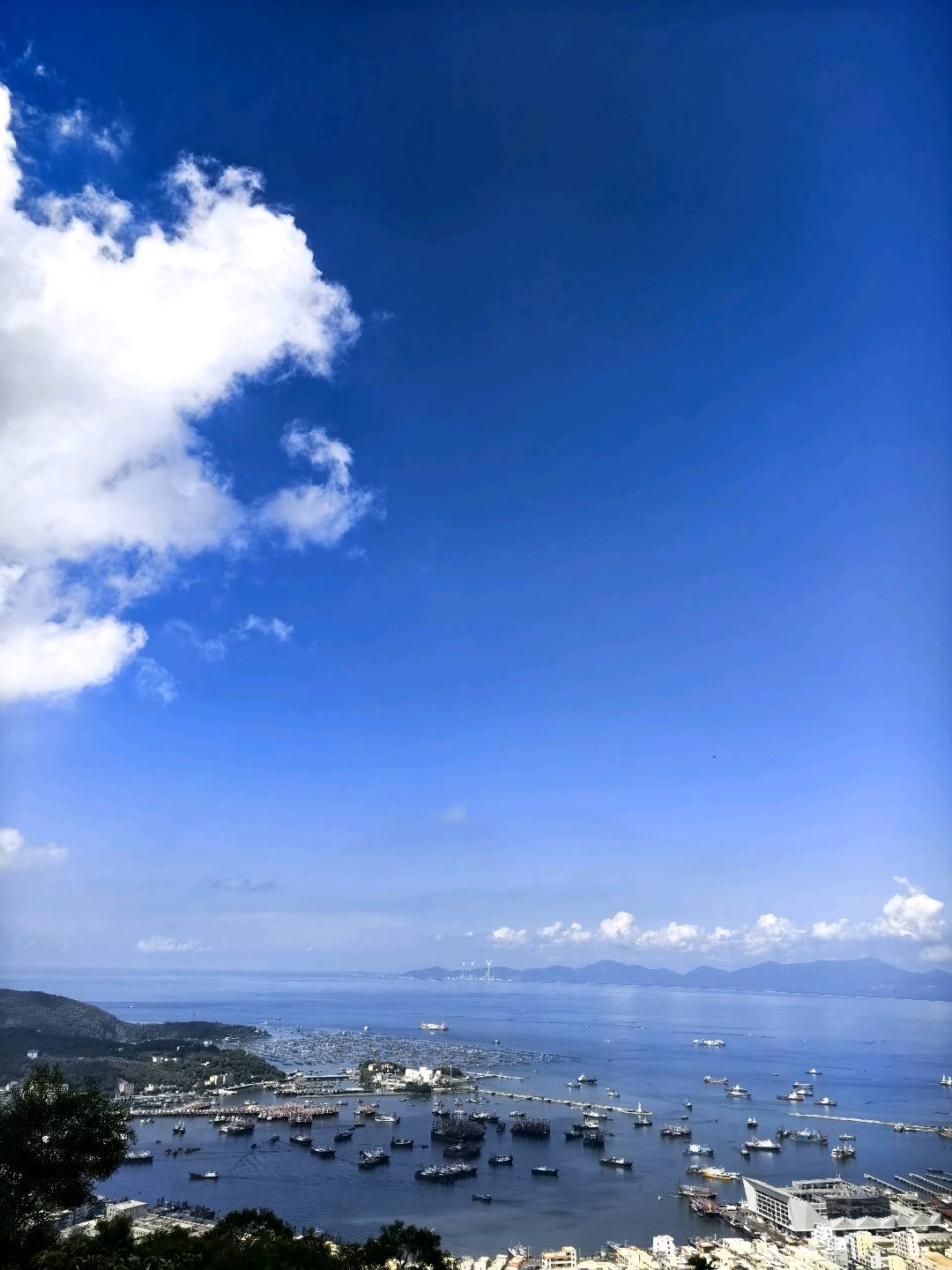 蒋先生推广团队自己有工作室,有地推团队。有拉新项目的可以和我取得联系。