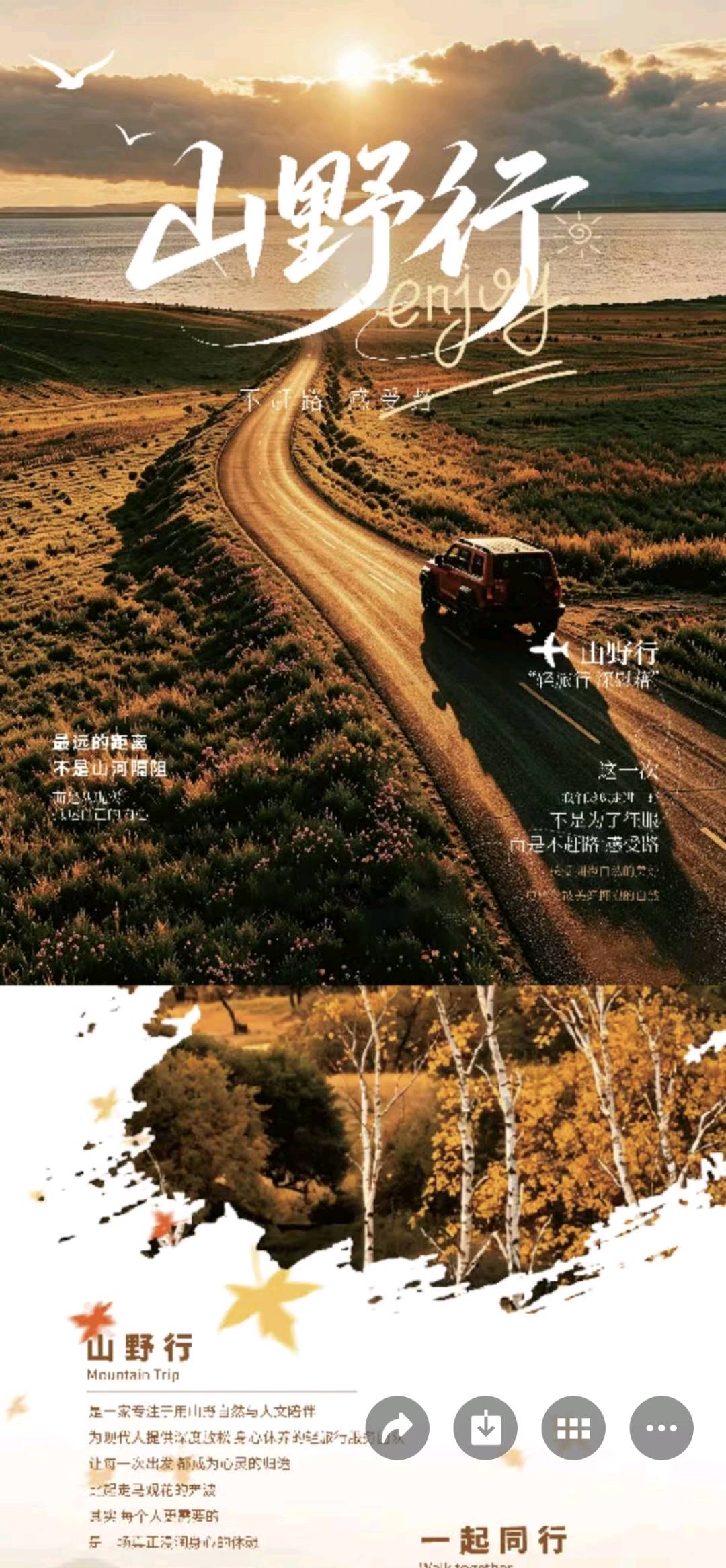 梁菲其他供需京津冀银发旅游项目寻地推团队