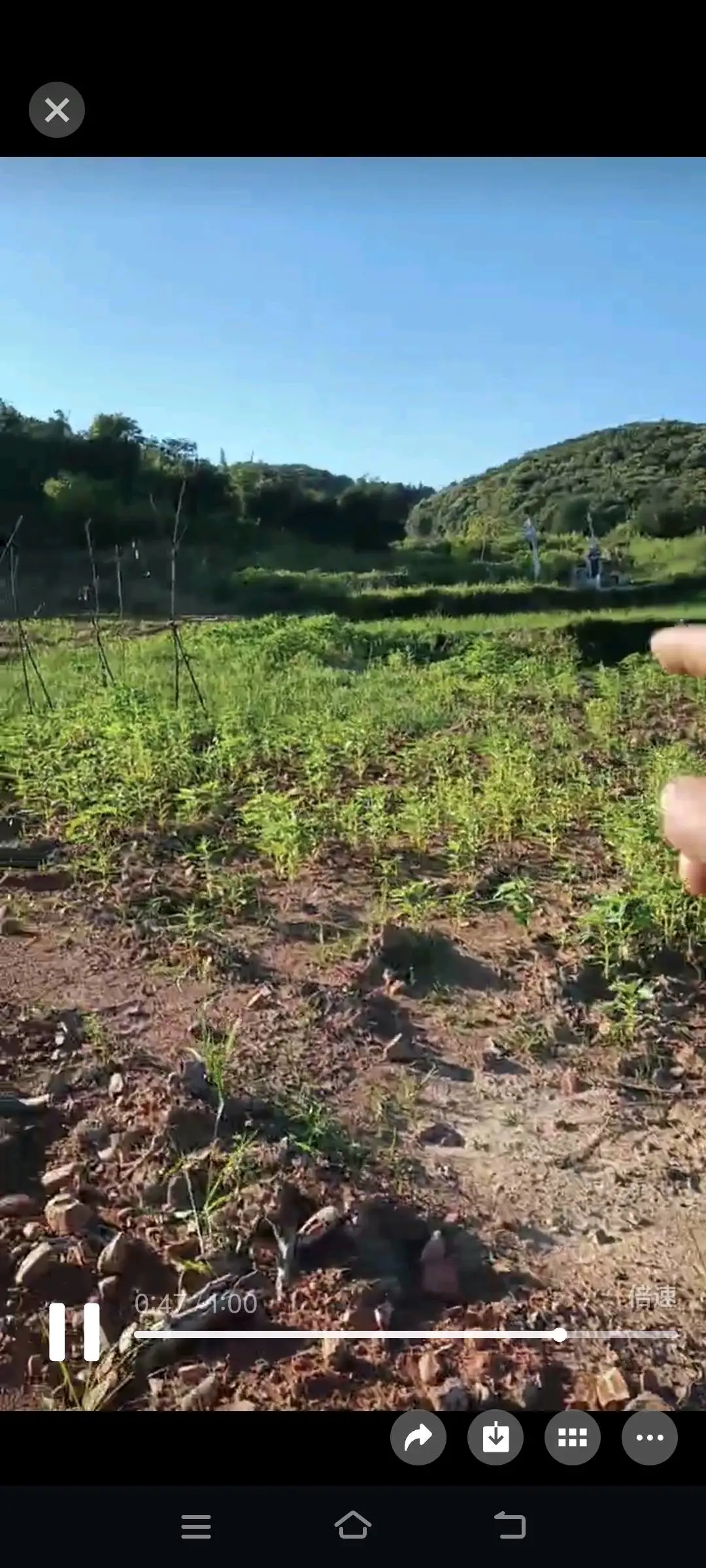 夏先生找合伙人15座山,5万亩荒地,田亩,山林资源寻求合作!