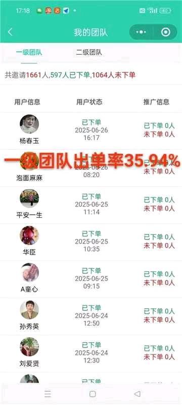 宫汝平地推项目