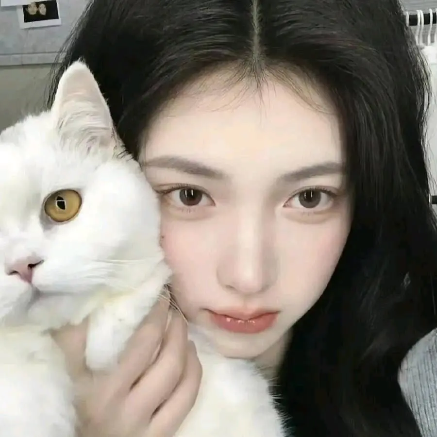 穆紫新