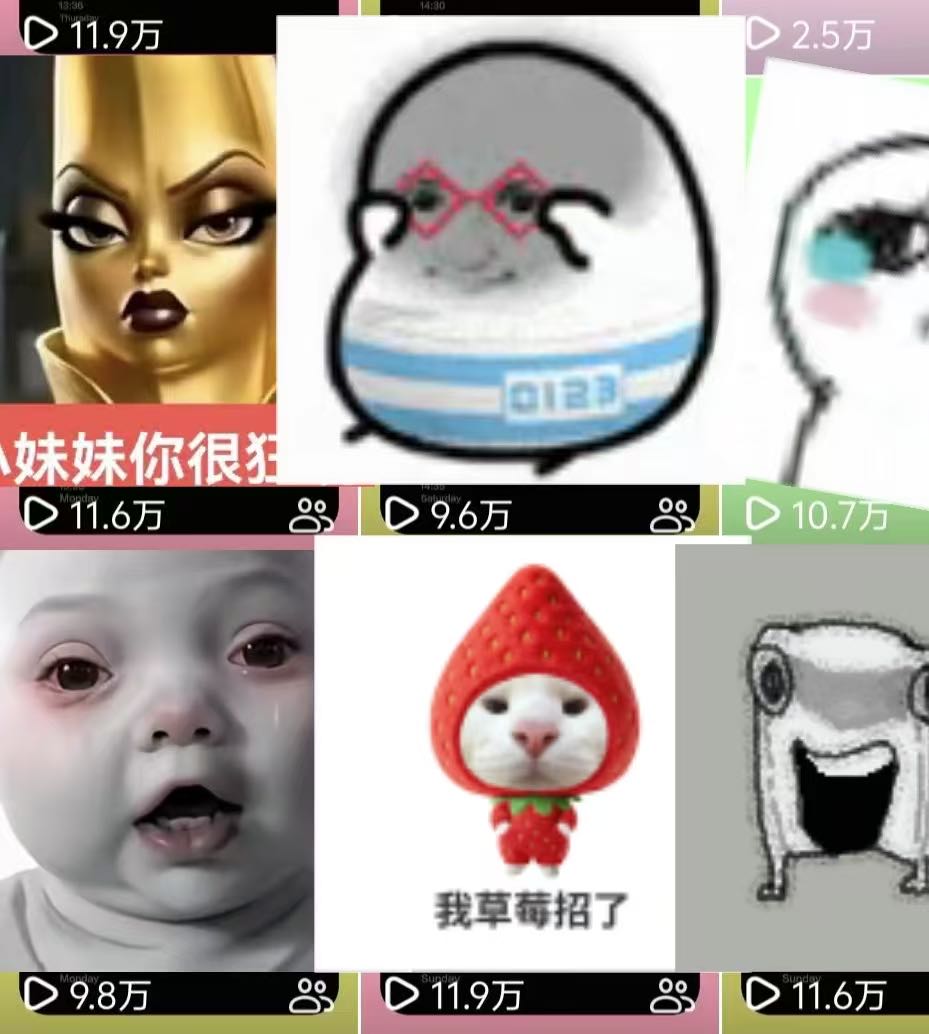 韩女士找合伙人