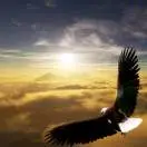 u客直谈实名认证周华桥