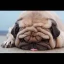 u客直谈实名认证王忍