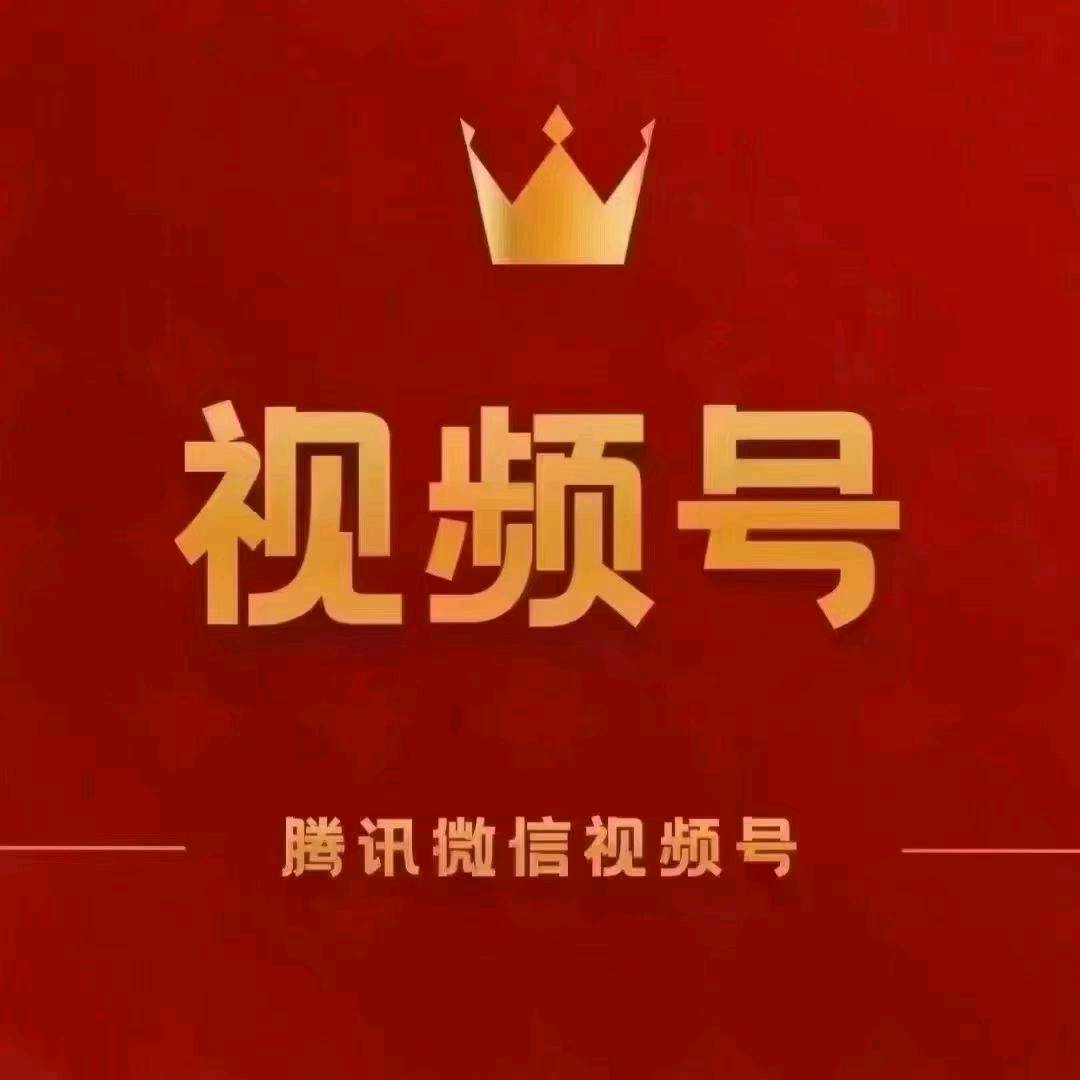 陈志其他供需视频号分成日结*