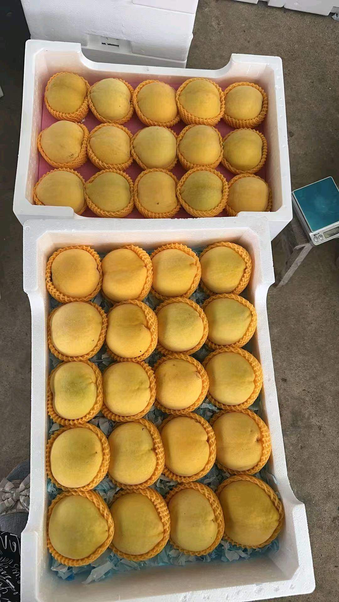 张先生品牌货源招募社区团购合伙人，我提供应季水果