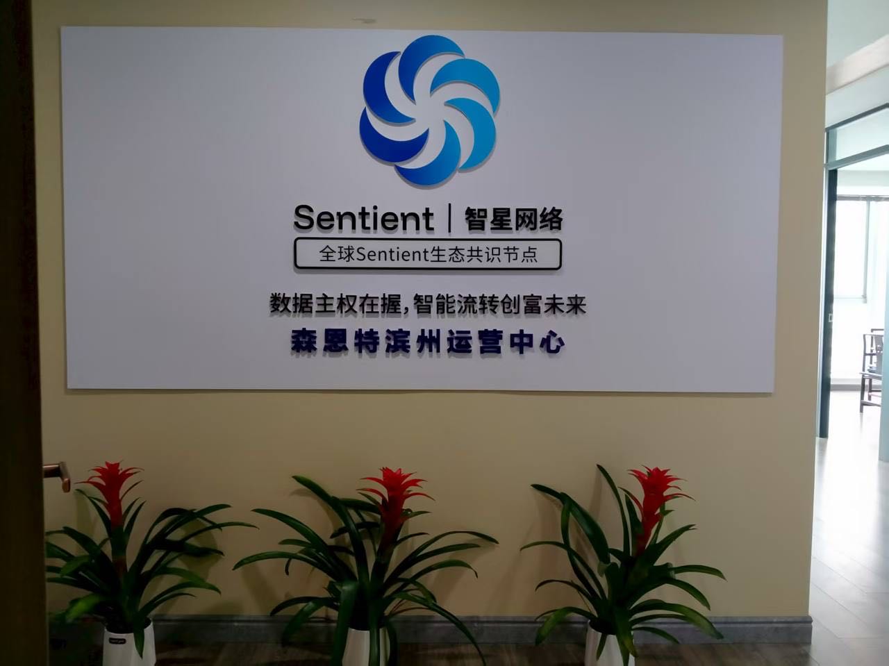 于跃跃其他供需