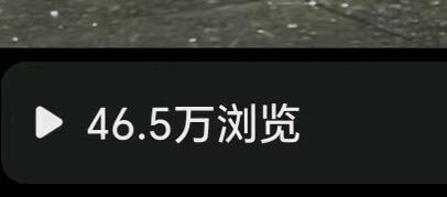 汪女士找合伙人小说推文、短剧推广项目，正规授权长期稳定，变现快多劳多得，一部手机即可