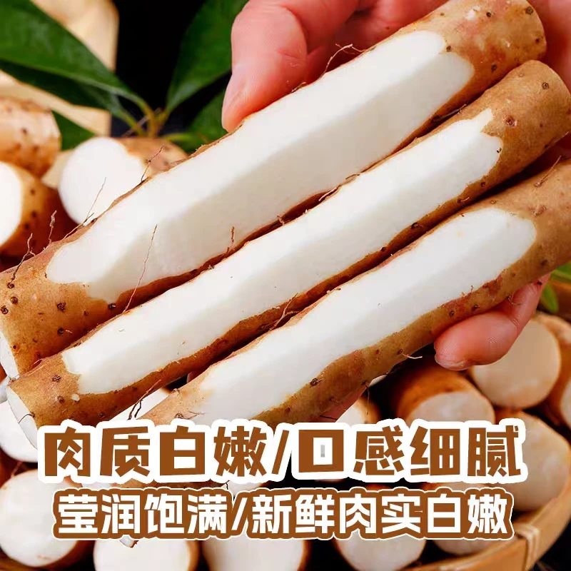裴文杰河南怀甄铁棍山药一件代发