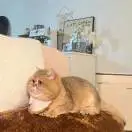 u客直谈实名认证胡杰