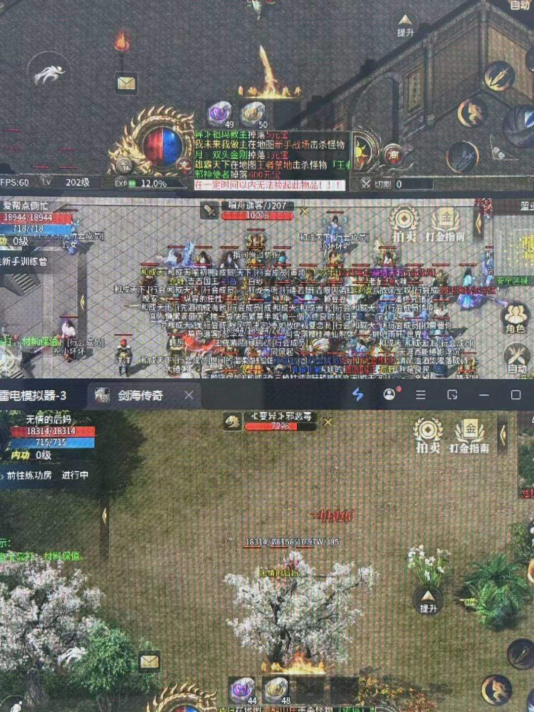 胡女士找合伙人