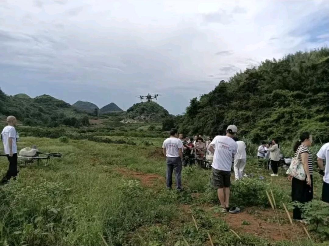 王女士其他供需