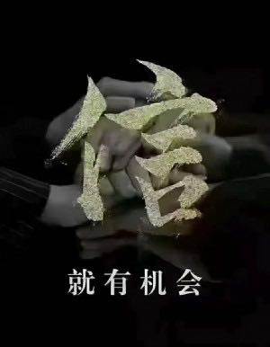 张先生找合伙人