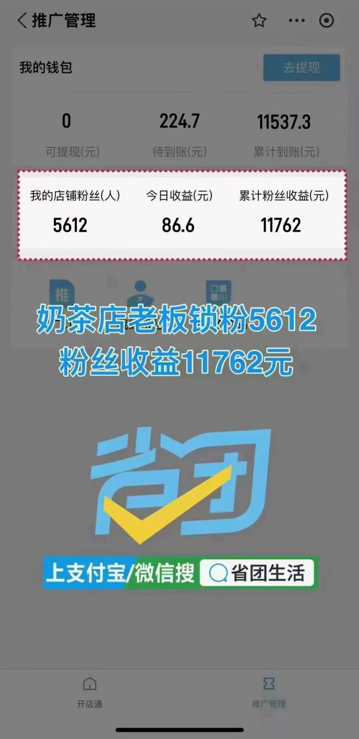 张苗苗地推项目