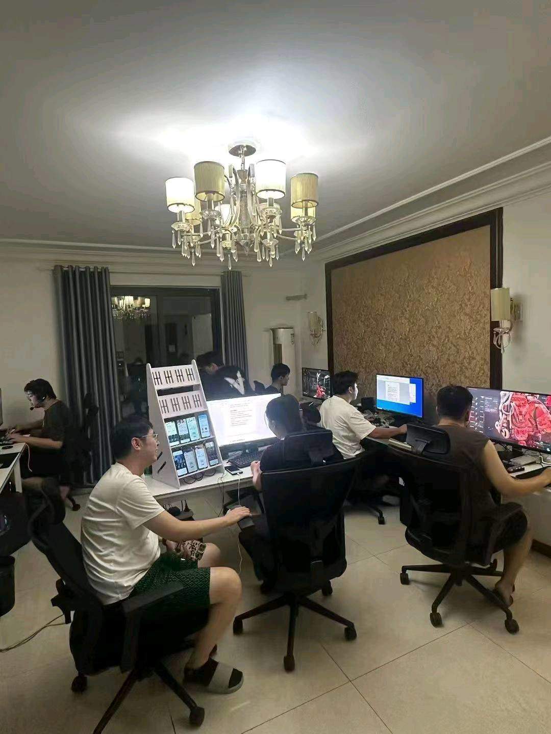 杨先生其他供需游戏陪玩工作室，轻资产项目，寻找投资人。