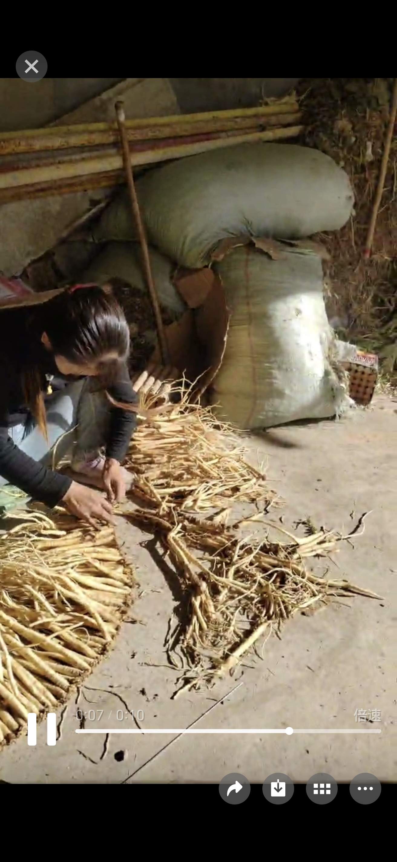 刘建强找合伙人甘肃中药材