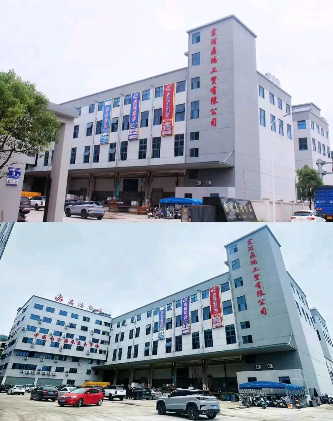 潘小颖品牌货源福建海带之乡南方海参之乡已获中国地理标识品牌,海带、海带苗、海参厂源头