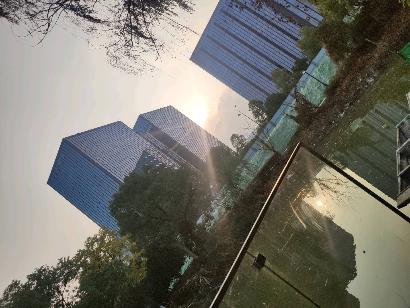 陈先武