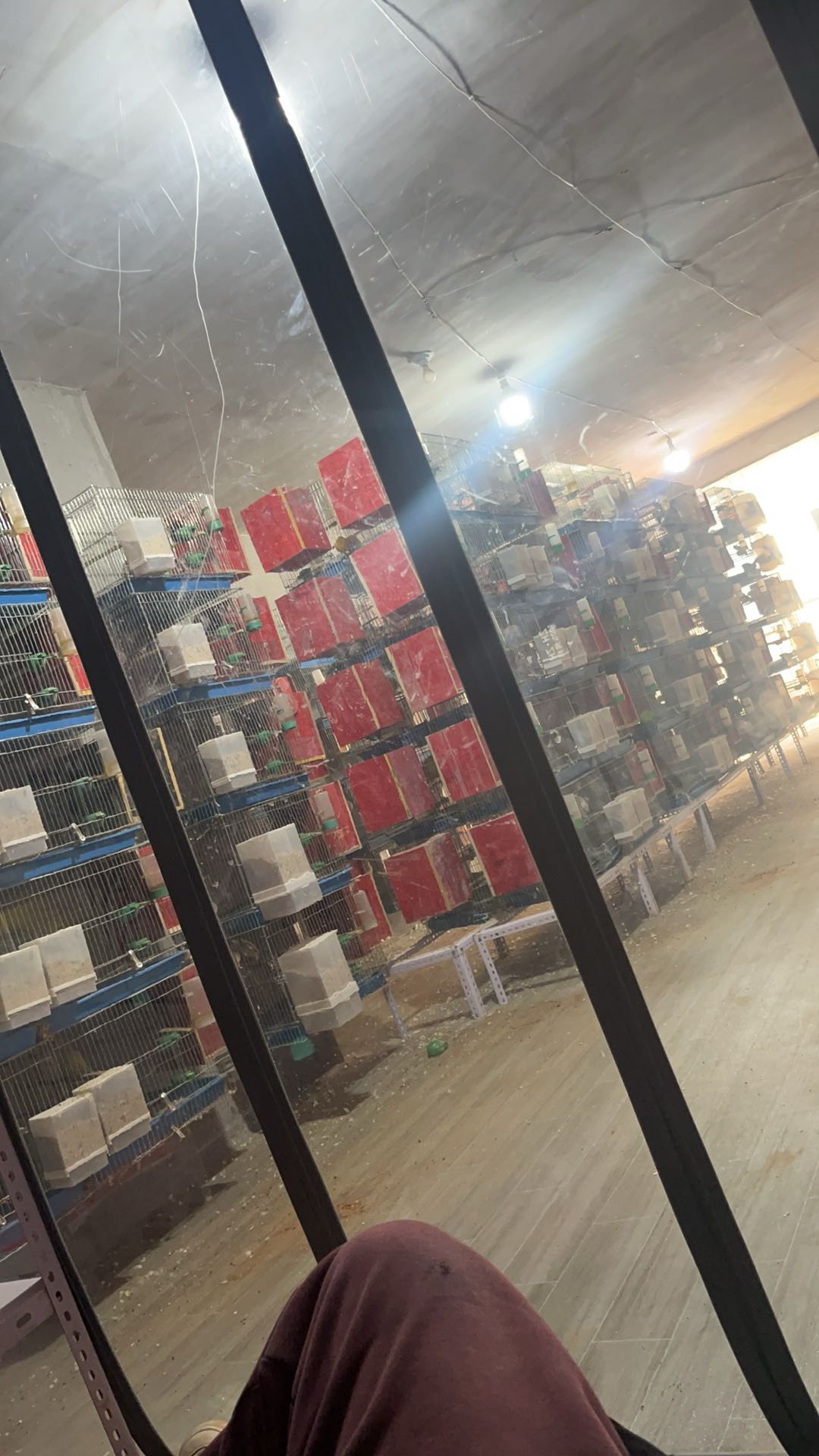 王先生找合伙人