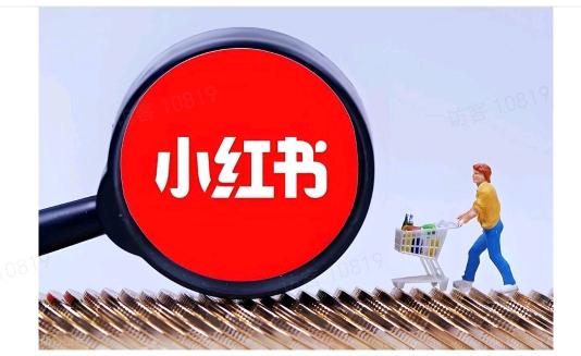 孙国凇其他供需小红书虚拟电商项目火爆招商中