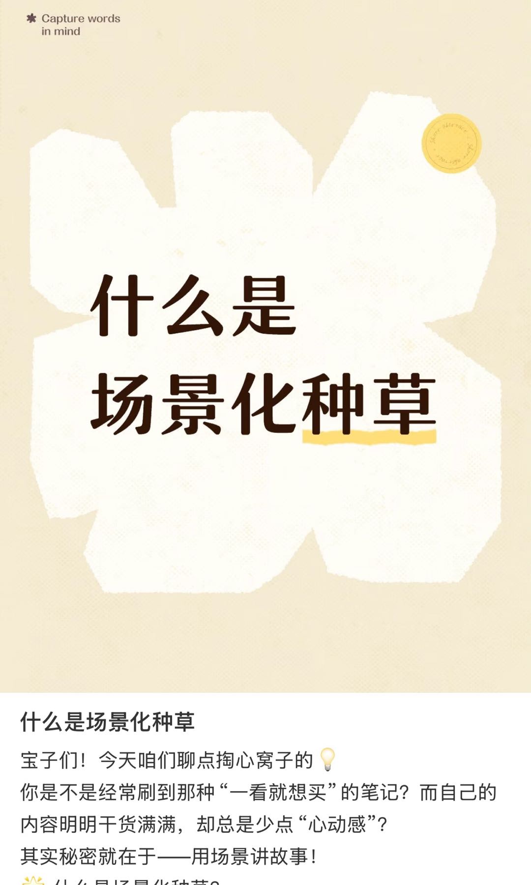 康睿戈其他供需小红书 视频号 公众号代发 一单一结算